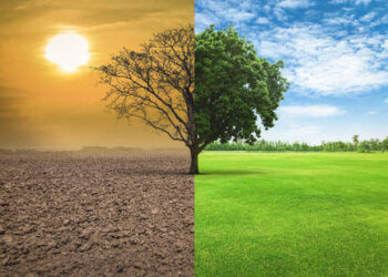 Egypt to host conference on environmental, climate investment in June