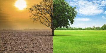 Egypt to host conference on environmental, climate investment in June