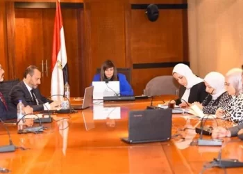 Gendi stresses importance of establishing investment company for Egyptian expats