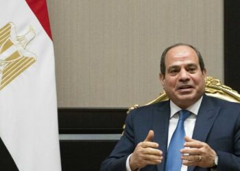 Sisi issues decrees on state-owned lands