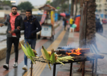 Egypt begins offering corn on commodities exchange