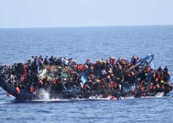 Egypt, Ireland discuss co-operation on files of illegal migration