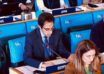 “Decent Life” Egypt’s project of the century