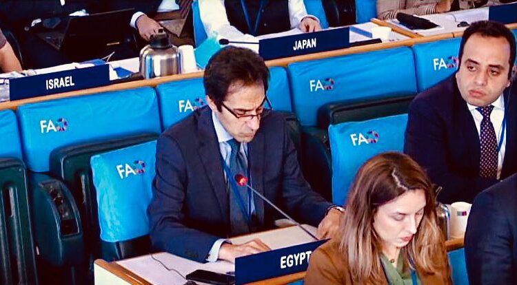 “Decent Life” Egypt’s project of the century 2 - Egyptian Gazette “Decent Life” Egypt’s project of the century 1 - Egyptian Gazette