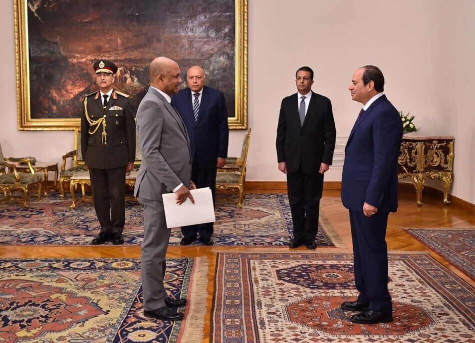 Sisi receives credentials of 13 new ambassadors 10 - Egyptian Gazette