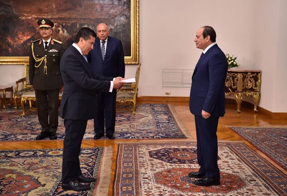 Sisi receives credentials of 13 new ambassadors 16 - Egyptian Gazette