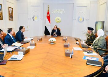 Sisi: State to formulate advanced, integrated path for implementing Sinai development strategy