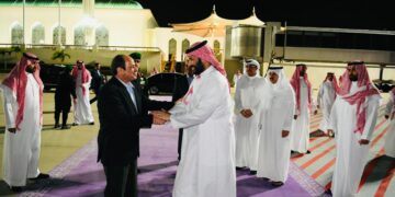Egypt, Saudi Arabia stress mutual keenness on enhancing multiple co-operation, coordination