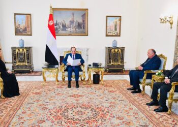 Sisi receives invitation to take part in COP28 in Dubai