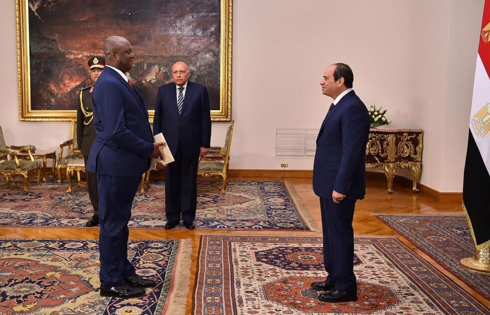Sisi receives credentials of 13 new ambassadors 20 - Egyptian Gazette