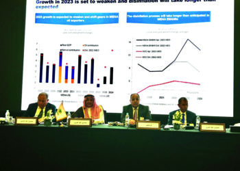Maeet outlines Egypt’s experience in achieving food security, social protection