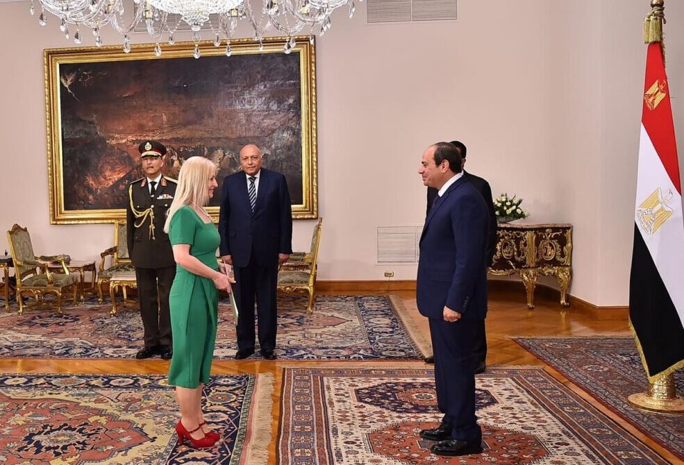 Sisi receives credentials of 13 new ambassadors 4 - Egyptian Gazette
