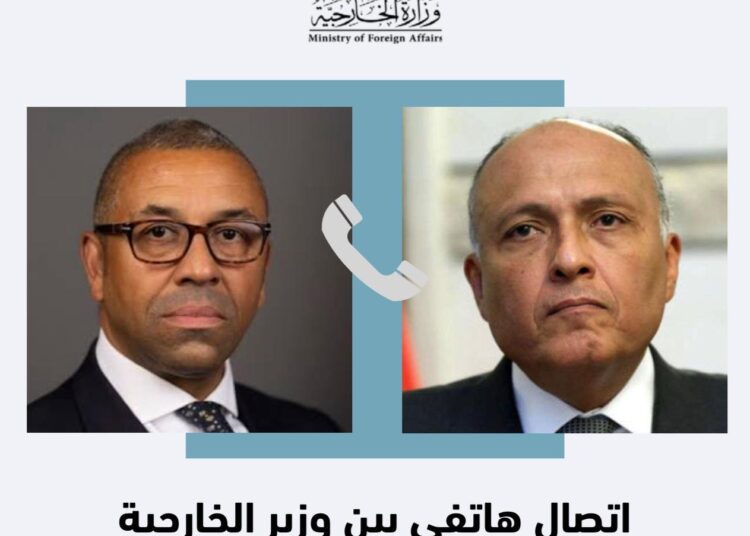Egypt, UK, Oman, Chad FMs discuss Sudan developments 1 - Egyptian Gazette