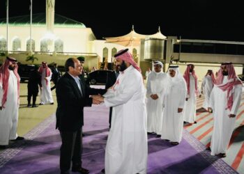 Sisi asserts depth, strength of Egypt-Arabia ties