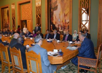 Shoukry travels to Athens Tuesday for co-operation talks