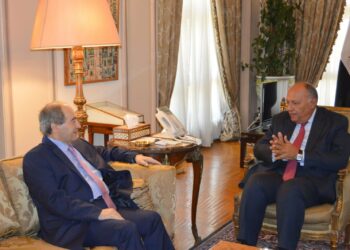 Egyptian, Syrian FMs hold closed-door meeting in Cairo