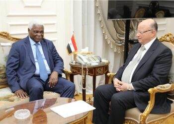 Egypt development ‘model for Africa’