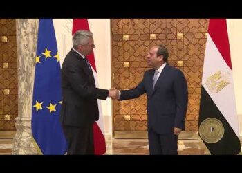 Sisi receives Austrian chancellor