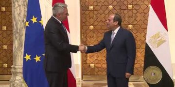 Sisi receives Austrian chancellor