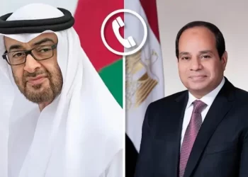 Sisi, UAE president discuss efforts to calm situation in Sudan