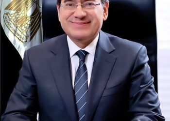 Petroleum Min.: Excavation operations intensified in Red Sea