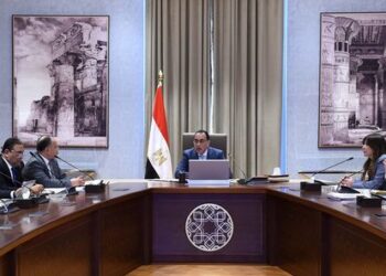 PM discusses proposals on free zone projects