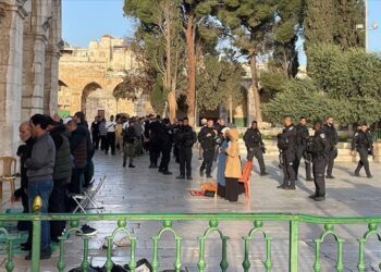 AL condemns Israeli aggression on Palestinian sports facilities