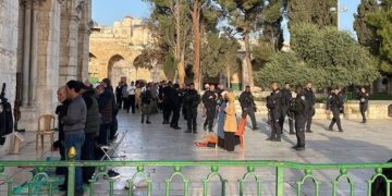 AL condemns Israeli aggression on Palestinian sports facilities