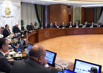 All Egyptian bodies at full swing from 1st day of Sudanese crisis – PM