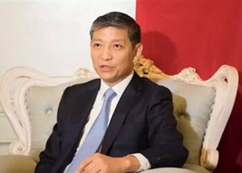Chinese amb. expresses his country’s trust in Egypt’s ability to overcome current challenges