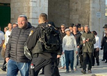 Egypt condemns storming of Al Aqsa, holds Israel responsible for dangerous escalation