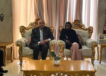 FM arrives in Chadian capital N’Djamena