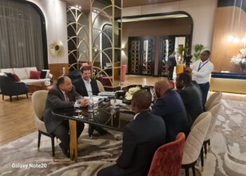 Egypt dedicates all potentials to serve African brethren: Finance min.