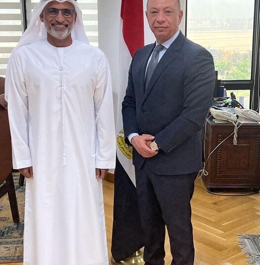 Egypt, UAE discuss boosting co-operation in aviation domain 1 - Egyptian Gazette