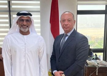 Egypt, UAE discuss boosting co-operation in aviation domain