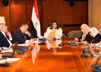 Egyptian Expatriates min. says keen on rehabilitating students returning home