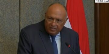 FM stresses importance of activating joint Arab action in Syria