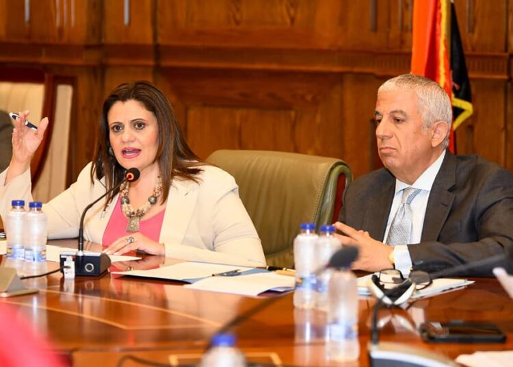 Emigration min.: We work hard to implement political leadership's directives on communicating expats 1 - Egyptian Gazette