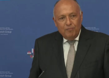 FM urges Munich Group to work on containing situation in Gaza Strip