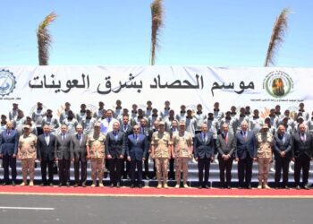 Sisi poses for photo op with workers of potato factory in East Owainat