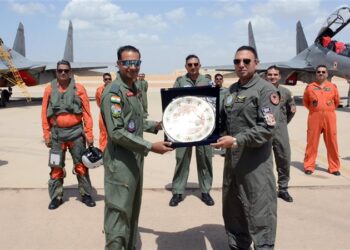 Air forces of Egypt, India carry out joint exercise