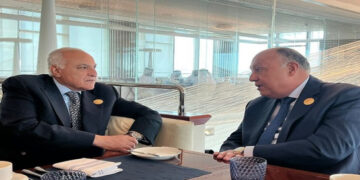 Egyptian, Algerian FMs discuss bilateral ties, regional issues