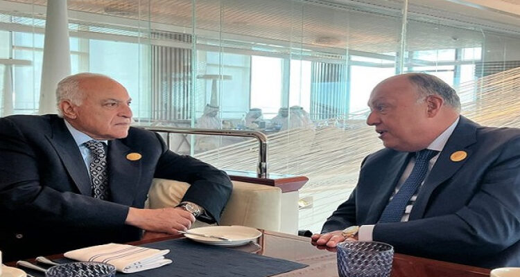 Egyptian, Algerian FMs discuss bilateral ties, regional issues 1 - Egyptian Gazette