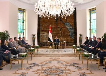 Egypt, US confirm strength of joint partnership