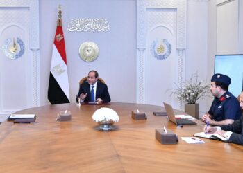 Sisi follows up on progress of “Egypt’s Future” agricultural production project