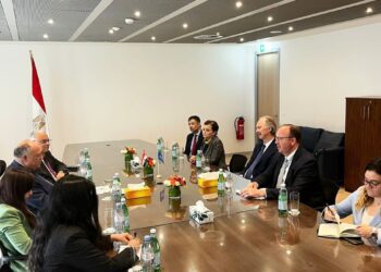 FM asserts importance of Arab role in solving Syrian crisis