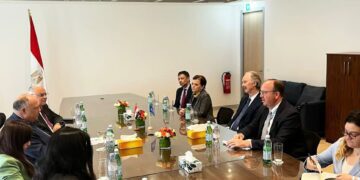 FM asserts importance of Arab role in solving Syrian crisis