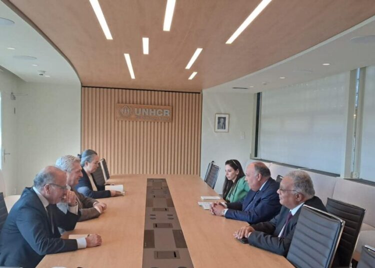 Shoukry, UN refugees commissioner review Egypt's policy towards refugees 1 - Egyptian Gazette