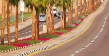 100 Million Trees initiative under review