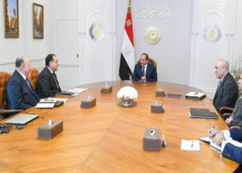 Sisi calls for harmonising conservation of historical sites with zonal development